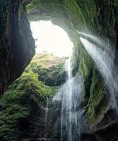 Madakaripura-Wasserfall, der auf Felsental mit Pflanzen im Nationalpark fließt