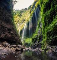 schöner Madakaripura-Wasserfall, der in grünes Tal fließt foto