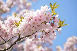 ai generiert Rosa Blütenblätter. ai generiert foto