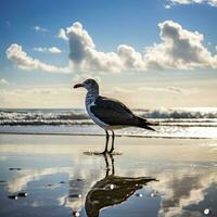 ai generiert Möwe auf das Strand unter Blau Himmel. foto