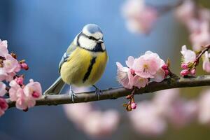 ai generiert ein Blaumeise Vogel ruhen auf das Ast von ein Baum. ai generiert. foto