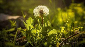 ai generiert das Grün Frühling Morgen. generativ ai foto