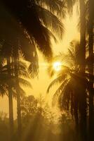 Silhouette von Kokosnuss Bäume mit Sonnenaufgang. foto