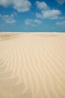 Linien im Sand eines Strandes foto