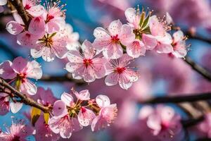 ai generiert ein schließen oben von Rosa Blumen auf ein Baum. KI-generiert foto