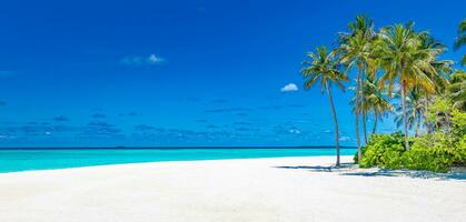 Malediven Insel Strand. tropisch Landschaft von Sommer- Paradies. Weiß Sand , Kokosnuss Palme Bäume Ruhe Meer Bucht. Luxus Reise Ferien Ziel. exotisch Strand Insel. tolle Natur inspirieren Entspannung foto