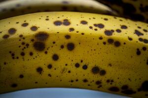 Nahansicht von Banane Reifung Bühne mit Flecken, Süss Geschmack, perfekt zum Mixer Getränke ein Backen foto