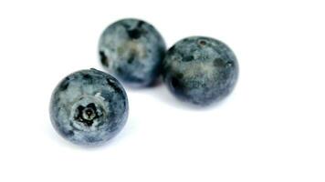 frisch Blaubeeren. organisch, saftig und nahrhaft Obst isoliert auf Weiß Hintergrund. gesund Snacks Konzept und reich an Antioxidantien Ernährung foto