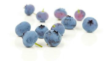 frisch Blaubeeren. organisch, saftig und nahrhaft Obst isoliert auf Weiß Hintergrund. gesund Snacks Konzept und reich an Antioxidantien Ernährung foto