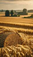 ai generiert Felder von der Wohlstand feiern das golden Ernte foto