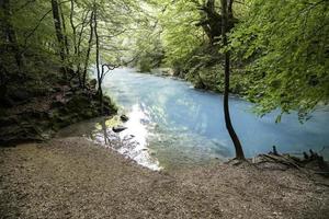 kristallklares Wasser in einem wilden Wald foto