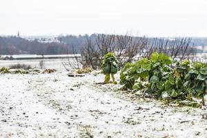 erster Schnee auf den Hügelstädten. zwischen Herbst und Winter foto