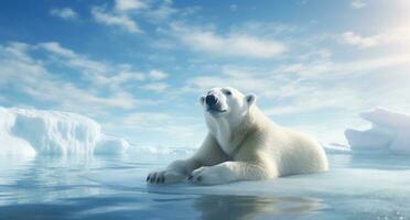 ai generiert schließen oben Polar- Bär ruhen auf Eis Schollen foto