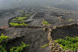 la geria im Lanzarote foto