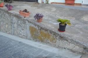 Blumen wachsen in Tonvasen auf den Straßen von Rhodos in Griechenland foto