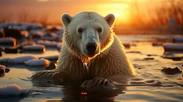 ai generiert ein Foto von ein Polar- Bär Stehen auf ein schmelzen Eis Scholle beim Sonnenuntergang. generativ ai