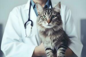 ai generiert Tierarzt untersucht Katze. Pflege und Pflege von Haustiere. ai generiert foto