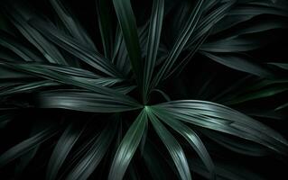 ai generiert Makro dunkel Palme Pflanzen verlassen foto