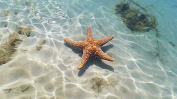 ai generiert Seestern im das klar Blau Wasser foto