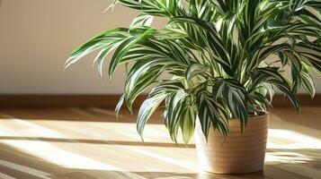 ai generiert ein schließen oben von Dracaena Grün Blatt im ein Beige Topf auf ein Marmor Fußboden foto