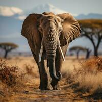 ai generiert realistisch Bild Elefant, groß Tier im Amboseli National Park generativ ai foto