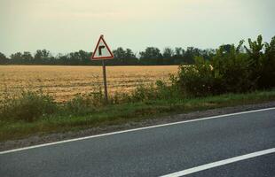 leeren Asphalt Straße und Blumen- Feld von anders Gras und Blumen im Abend Zeit foto