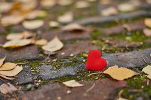 unerwiderte, einseitige liebe oder einsamkeitskonzept. foto