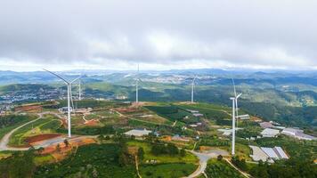 schön Landschaft im das Morgen beim denn dat, da lat Stadt, lam dong Provinz. Wind Leistung auf Tee hügel, Morgen Landschaft auf das Hang von Tee gepflanzt foto