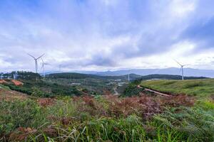 schön Landschaft im das Morgen beim denn dat, da lat Stadt, lam dong Provinz. Wind Leistung auf Tee hügel, Morgen Landschaft auf das Hang von Tee gepflanzt foto