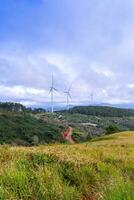 schön Landschaft im das Morgen beim denn dat, da lat Stadt, lam dong Provinz. Wind Leistung auf Tee hügel, Morgen Landschaft auf das Hang von Tee gepflanzt foto