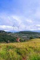 schön Landschaft im das Morgen beim denn dat, da lat Stadt, lam dong Provinz. Wind Leistung auf Tee hügel, Morgen Landschaft auf das Hang von Tee gepflanzt foto