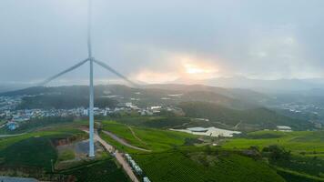 schön Landschaft im das Morgen beim denn dat, da lat Stadt, lam dong Provinz. Wind Leistung auf Tee hügel, Morgen Landschaft auf das Hang von Tee gepflanzt foto