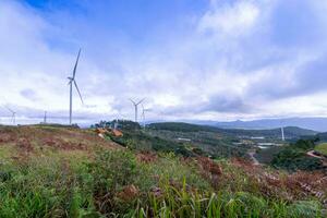 schön Landschaft im das Morgen beim denn dat, da lat Stadt, lam dong Provinz. Wind Leistung auf Tee hügel, Morgen Landschaft auf das Hang von Tee gepflanzt foto