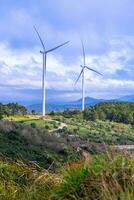 schön Landschaft im das Morgen beim denn dat, da lat Stadt, lam dong Provinz. Wind Leistung auf Tee hügel, Morgen Landschaft auf das Hang von Tee gepflanzt foto