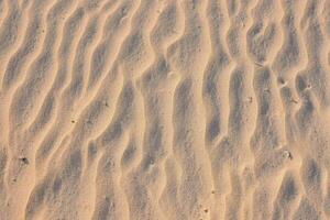 ein schließen oben von ein Gelb Sand Oberfläche foto