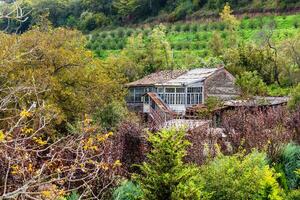 Obstgarten und ländlich Haus im Dorf im kakheti foto