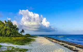 tropischer karibischer strand klares türkisfarbenes wasser playa del carmen mexiko. foto