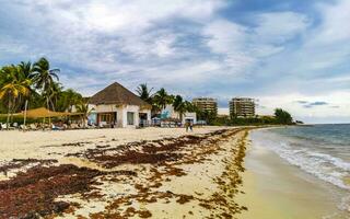 playa del carmen Quintana roo Mexiko 2023 tropisch Karibik Strand Menschen Sonnenschirme Spaß playa del carmen Mexiko. foto