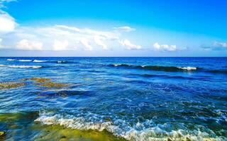 tropischer karibischer strand klares türkisfarbenes wasser playa del carmen mexiko. foto