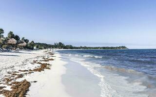 tropisch Karibik Strand Menschen Sonnenschirme Spaß playa del carmen Mexiko. foto