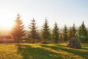 schöne Herbstsonnenaufganglandschaft in den Karpaten, Europareisen, Westukraine, Karpaten-Nationalpark, wunderbare Welt, Tapetenlandschaftshintergrund foto