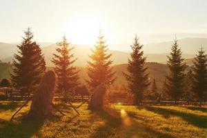schöne Herbstsonnenaufganglandschaft in den Karpaten, Europareisen, Westukraine, Karpaten-Nationalpark, wunderbare Welt, Tapetenlandschaftshintergrund foto