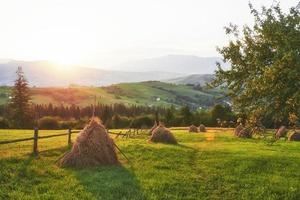 Heuhaufen bei Sonnenuntergang. Wiese, Stück Grünland, vor allem als Heu. Karpaten, Ukraine foto