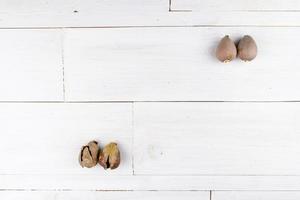 zwei frische Avocadokerne und zwei geknackte Kerne auf dem Holztisch foto