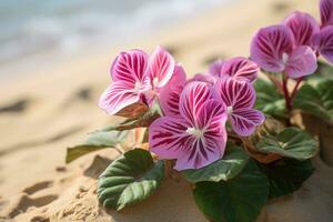 ai generiert Blumen auf Strand foto