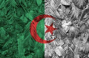 Algerien Flagge abgebildet auf viele Blätter von Monstera Palme Bäume. modisch modisch Hintergrund foto