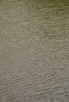 die Textur von dunklem Flusswasser unter Windeinfluss, perspektivisch eingeprägt. vertikales Bild foto
