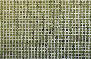 geometrisch Hintergrund von Öko Fußboden Ziegel und Grün Gras. Öko Parkplatz Textur. Fußboden Stein Fliese mit ein Rhombus Loch zum Gras. umweltfreundlich Parkplatz von Beton Zellen foto