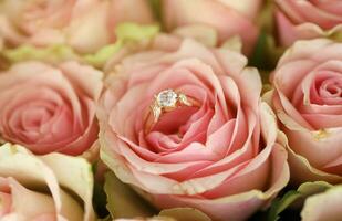 Gold Diamant Engagement Ring im schön Rosa Rose Blume unter groß Menge von Rosen im groß Strauß schließen oben foto