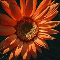 ai generiert Sonnenblume im das Garten. flach Tiefe von Feld. getönt. generativ ai foto